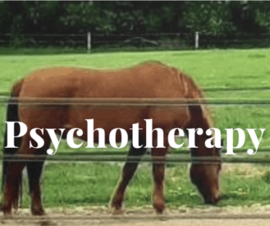 HOPE Ranch’s Equine-Assisted Therapy: Healing Through the Power of Horses